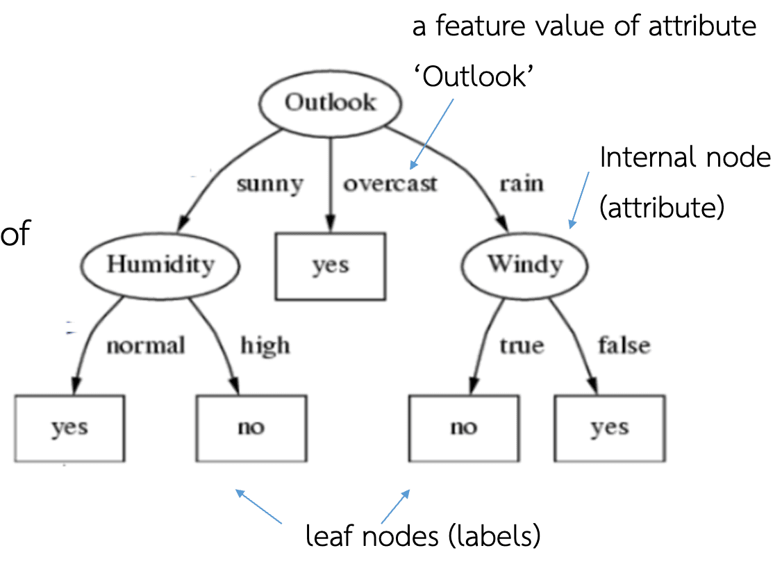 Decision Tree